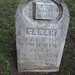 Sarah Wilkins Photo 35