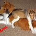 Bonnie Little Photo 14
