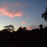 Carol Rust Photo 6