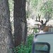 Steve Ventre Photo 11