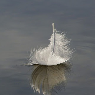 Michael Willis Photo 33