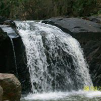 Jennifer Mccarroll Photo 4