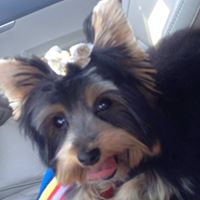 Nancy Sitton Photo 2