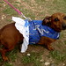 Elizabeth Wiener Photo 15