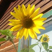 Stephanie Corder Photo 29