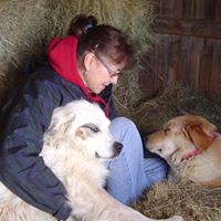 Carol Gutting Photo 9