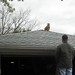 John Pluck Photo 6