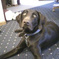 Kylie Mcbride Photo 7