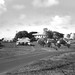 David Greathouse Photo 20