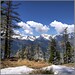 Wallis Brown Photo 5