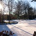 Peggy Denmark Photo 8