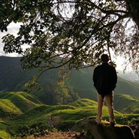 Nicholas Chung Photo 20