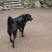 Jack Friday Photo 24