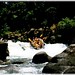 Brenda Tully Photo 15