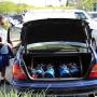 Duane Elliott Photo 25