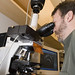 Edward Levine Photo 32