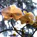 Mary Neely Photo 35