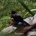 Robin Anderson Photo 28