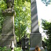 Ann Cross Photo 20