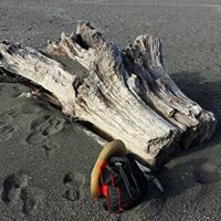 Michele Calvert Photo 11