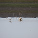 Richard Funk Photo 17