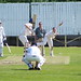 Craig Downey Photo 22
