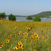 Ruby Crowder Photo 12