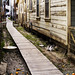 Karen Locke Photo 49