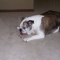 Ray Rasmussen Photo 37