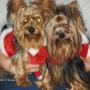 Nancy Rush Photo 35
