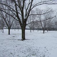 Linda Clemmons Photo 28