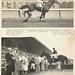 Roger Shoemaker Photo 15