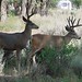 Steve Ventre Photo 12