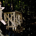 Sophia Wheeler Photo 10