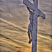 Anthony Priest Photo 16