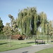 Jason Vernon Photo 33