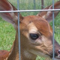 Sandy Lutz Photo 16