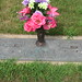 Betty Knoll Photo 14