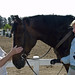 Paula Wilkinson Photo 35