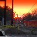 Matthew Waddell Photo 16