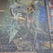 Ronald Gerber Photo 13