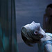 Megan Reilly Photo 19