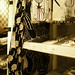 Linda Herman Photo 21