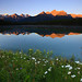 Herbert Summers Photo 8