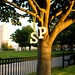 Scott Gorsuch Photo 7