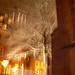 Edgar Tuttle Photo 7