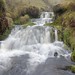 Danny Burns Photo 8