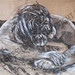 Sue Li Photo 28