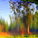 Teresa Downs Photo 22