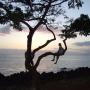 John Lindquist Photo 37